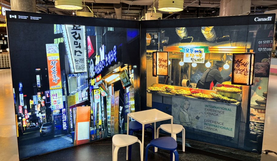 Staff and contractors at work